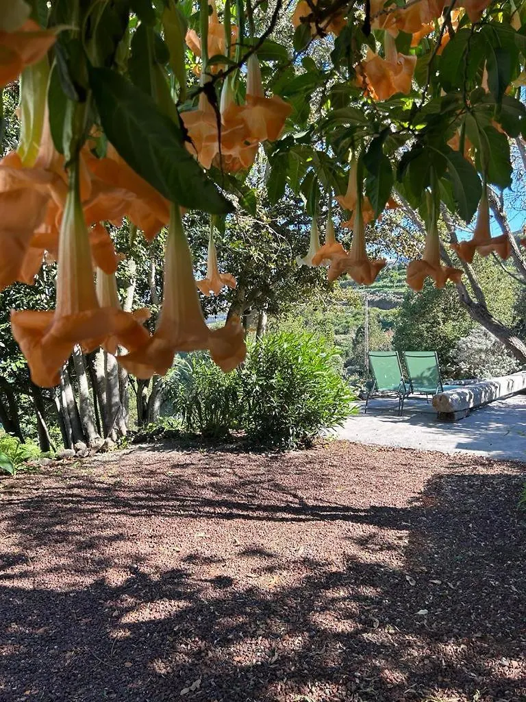 Holiday home La Casita Del Lagar Villa Cerrogordo